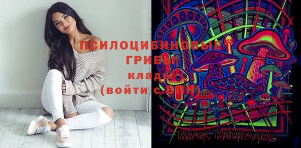 гидра Алексеевка