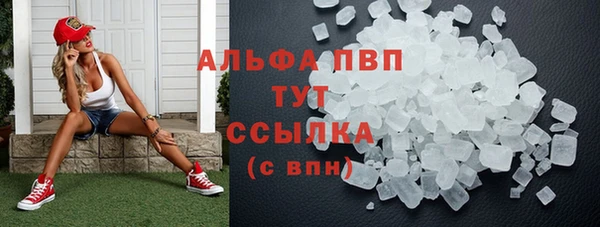 гидра Алексеевка